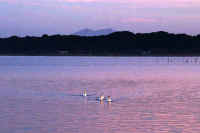 10-2022101105826-1-1-1.jpg (66053 �o�C�g)