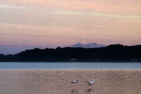 10-2022101105859-1-2.jpg (56706 バイト)