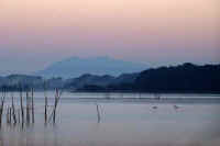 10-2022102100269-1.jpg (43856 �o�C�g)