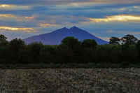 10-2023102107743-1-1.jpg (69158 �o�C�g)