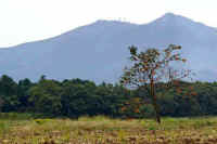 11-2007110300000.jpg (74550 �o�C�g)