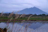 11-2007110300600-1.jpg (64472 �o�C�g)