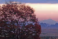 11-2007111702200-1-1.jpg (120997 バイト)