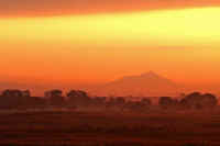 11-2007111703600-1.jpg (39515 �o�C�g)