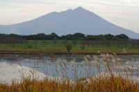 11-2008110804200-1.jpg (87538 �o�C�g)