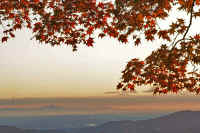 11-2009111505922.jpg (118228 �o�C�g)