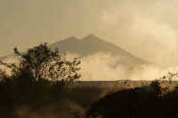 11-2012112506275.jpg (50690 �o�C�g)