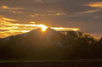 11-2014112700754-1.jpg (80246 バイト)