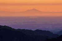 11-2015110406628-4-1-1.jpg (33519 バイト)