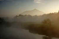 11-2015112107300-1.jpg (32404 �o�C�g)