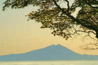 11-2017112507873-1.jpg (100240 �o�C�g)