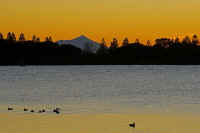 11-2018110102378-1.jpg (69135 �o�C�g)