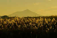 11-2018110102398-1.jpg (77670 バイト)