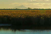 11-2018110102409-2-1.jpg (76512 �o�C�g)