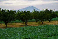 11-2018110402431.jpg (97229 �o�C�g)