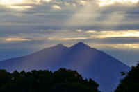 11-2018112002807-1.jpg (41146 バイト)