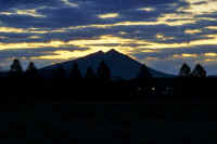 11-2019111507936-1.jpg (53111 �o�C�g)