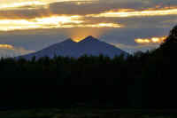 11-2019111507960.jpg (43855 バイト)