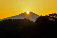 11-2019112108109-1.jpg (38229 バイト)