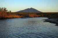 11-2019112171770-1.jpg (80869 バイト)