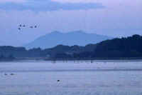 11-2022111106155-1-1.jpg (53226 �o�C�g)