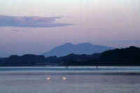 11-2022111106172-1-1.jpg (51218 バイト)