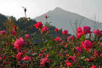 11-2023110305146-1-1-1.jpg (103852 �o�C�g)