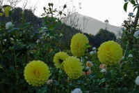 11-2023110305163-1-1-1.jpg (99066 �o�C�g)