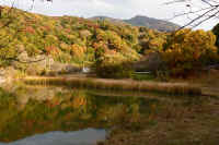 11-2025112003063-1.jpg (113246 �o�C�g)