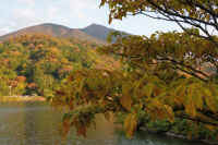 11-2025112003072.jpg (117418 バイト)