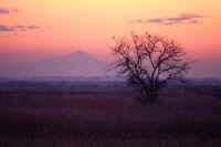 12-1995121700000-1 .jpg (50733 �o�C�g)