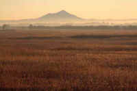 12-2003121301000.jpg (55340 �o�C�g)