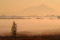 12-2007122406400.jpg (40621 バイト)