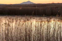 12-2008122800026.jpg (136020 �o�C�g)