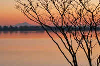 12-2010121803910.jpg (110325 バイト)