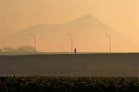 12-2012121606656-3-1.jpg (38912 �o�C�g)