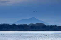 12-2013120704365-1-1.jpg (61654 バイト)