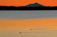 12-2013121404374.jpg (58331 �o�C�g)