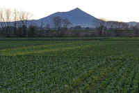 12-2015120507494-1.jpg (106034 �o�C�g)