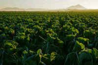 12-2016120303580-1.jpg (109645 バイト)