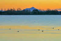 12-2016121503640-1.jpg (56692 �o�C�g)