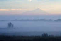 12-2016122303751-1.jpg (35632 �o�C�g)