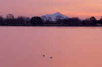 12-2016122903855-1.jpg (37244 バイト)