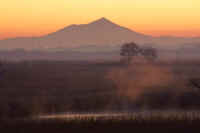 12-2017121908303-1.jpg (36302 �o�C�g)