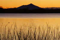 12-2017122708349.jpg (88864 �o�C�g)