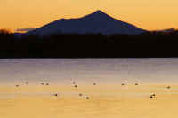 12-2017122708354-1-1.jpg (50068 バイト)