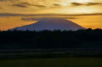 12-2018120102898-1.jpg (40195 バイト)