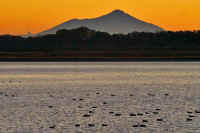 12-2018121403220-1.jpg (83591 バイト)