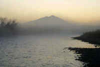 12-2019121208891.jpg (55320 バイト)