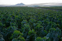 12-2025121609385-1.jpg (103847 �o�C�g)